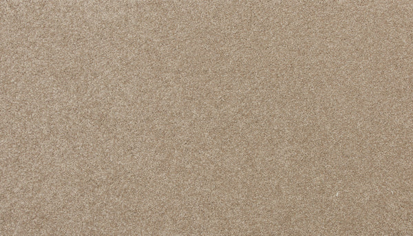 Close-up of the smooth, even surface of Delicate Shades Pet Friendly Carpet in Calla, featuring fine light brown tones for a soft, textured look—perfect for stylish, practical homes seeking stain resistance.
