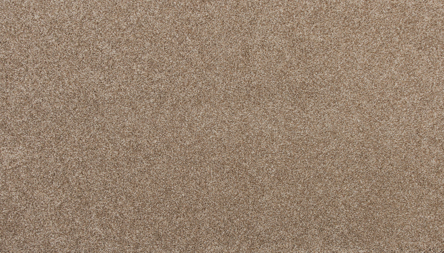 Close-up of Delicate Shades Pet Friendly Carpet in Carnation color, featuring a soft, densely packed texture with a uniform, subtly speckled look. Stain resistant and durable—perfect for busy homes or pet owners seeking lasting elegance.