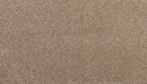 Close-up of Delicate Shades Pet Friendly Carpet in Carnation color, featuring a soft, densely packed texture with a uniform, subtly speckled look. Stain resistant and durable—perfect for busy homes or pet owners seeking lasting elegance.