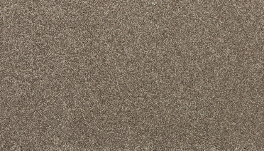 A close-up of Delicate Shades Pet Friendly Carpet in Sweet Pea shows its fine, uniform texture—smooth and consistent like luxury sand, with countless small fibers closely packed together.
