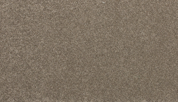 A close-up of Delicate Shades Pet Friendly Carpet in Sweet Pea shows its fine, uniform texture—smooth and consistent like luxury sand, with countless small fibers closely packed together.