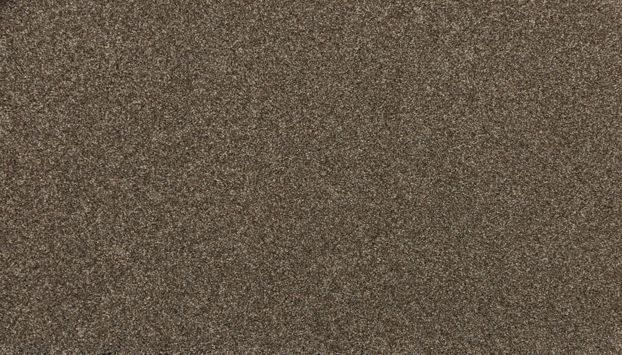 A close-up of the Delicate Shades Pet Friendly Carpet in Primrose shows fine, evenly distributed fibers for a slightly rough texture that's both elegant and resistant to stains.