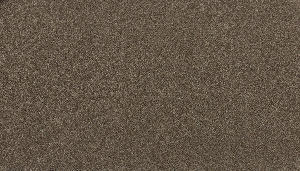 A close-up of the Delicate Shades Pet Friendly Carpet in Primrose shows fine, evenly distributed fibers for a slightly rough texture that's both elegant and resistant to stains.