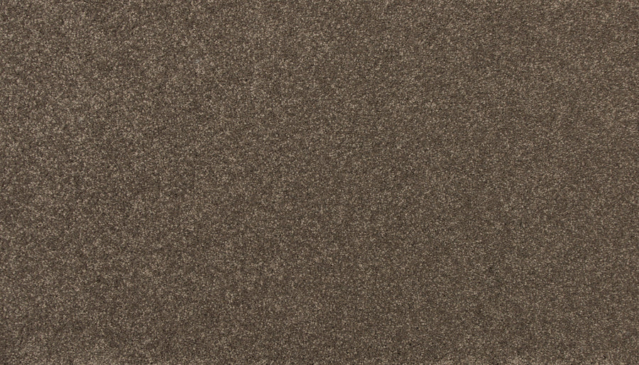 Close-up of the Delicate Shades Pet Friendly Carpet in Daffodils, showcasing its soft, dense fibers and even color for a luxurious look.