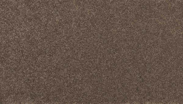 Close-up of the Delicate Shades Pet Friendly Carpet in Daffodils, showcasing its soft, dense fibers and even color for a luxurious look.
