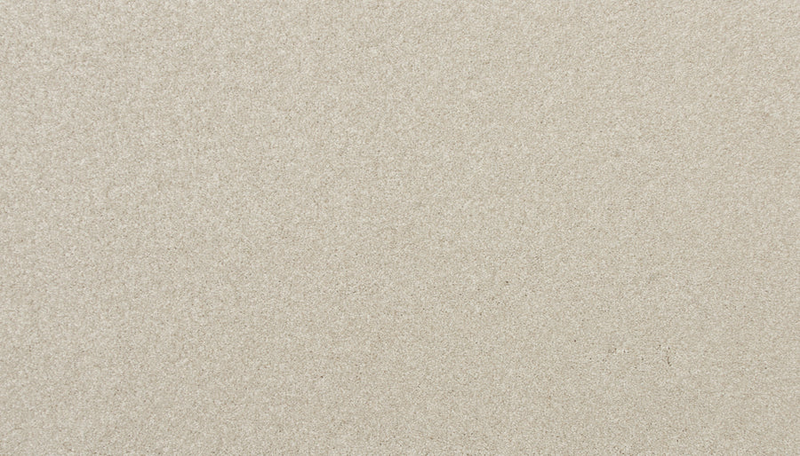 Close-up of Delicate Shades Pet Friendly Carpet in Camellias color, featuring a light beige, textured surface that's evenly spread and slightly grainy, evoking the look of luxury flooring.