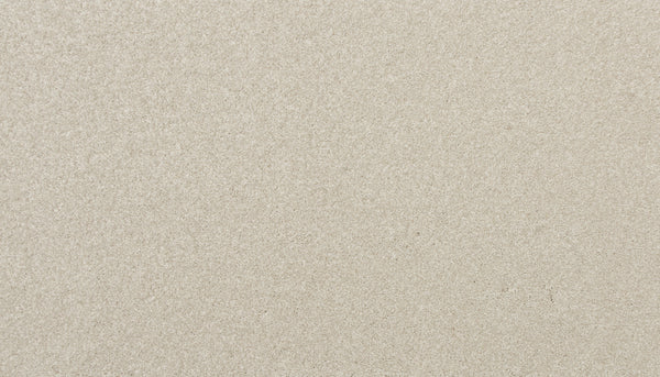 Close-up of Delicate Shades Pet Friendly Carpet in Camellias color, featuring a light beige, textured surface that's evenly spread and slightly grainy, evoking the look of luxury flooring.