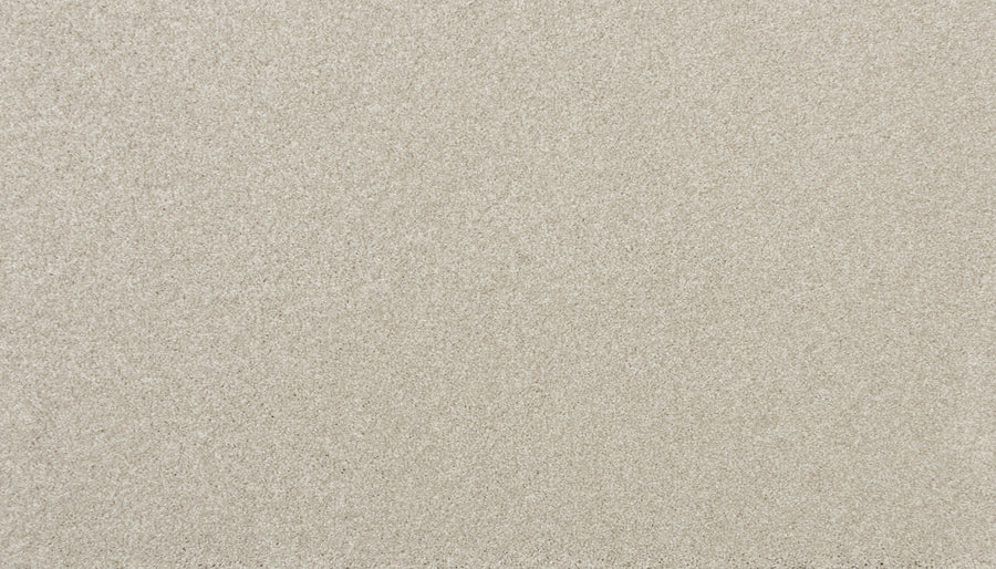 Close-up of Delicate Shades Pet Friendly Carpet in Freesias: a fine, light beige surface with a smooth texture and even finish—blending elegance and practicality for pet owners.