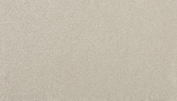 Close-up of Delicate Shades Pet Friendly Carpet in Freesias: a fine, light beige surface with a smooth texture and even finish—blending elegance and practicality for pet owners.