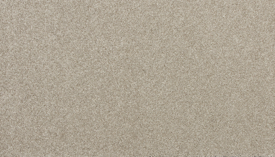 Close-up view of the Delicate Shades Pet Friendly Carpet in Cosmos, showcasing its soft, plush texture that's both pet friendly and stain resistant.