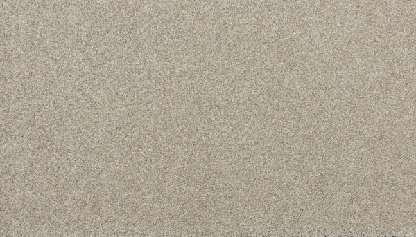 Close-up view of the Delicate Shades Pet Friendly Carpet in Cosmos, showcasing its soft, plush texture that's both pet friendly and stain resistant.