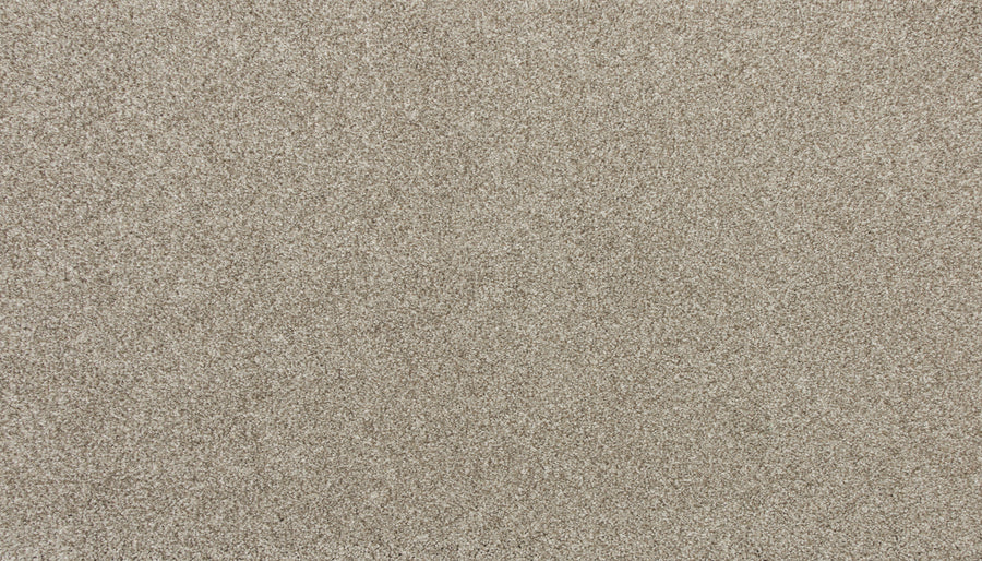 A close-up of Delicate Shades Pet Friendly Carpet in Marigold reveals a fine, uniform texture—resembling light brown sand and offering both pet-friendly durability and stain resistance.