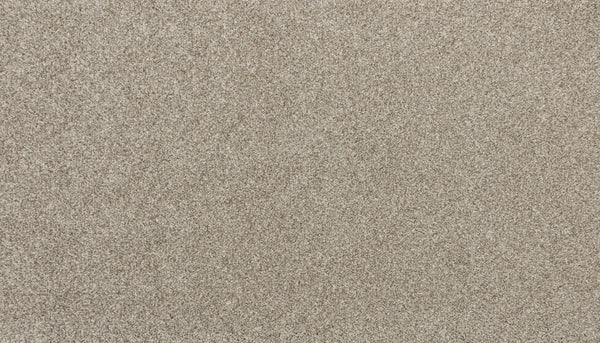 A close-up of Delicate Shades Pet Friendly Carpet in Marigold reveals a fine, uniform texture—resembling light brown sand and offering both pet-friendly durability and stain resistance.
