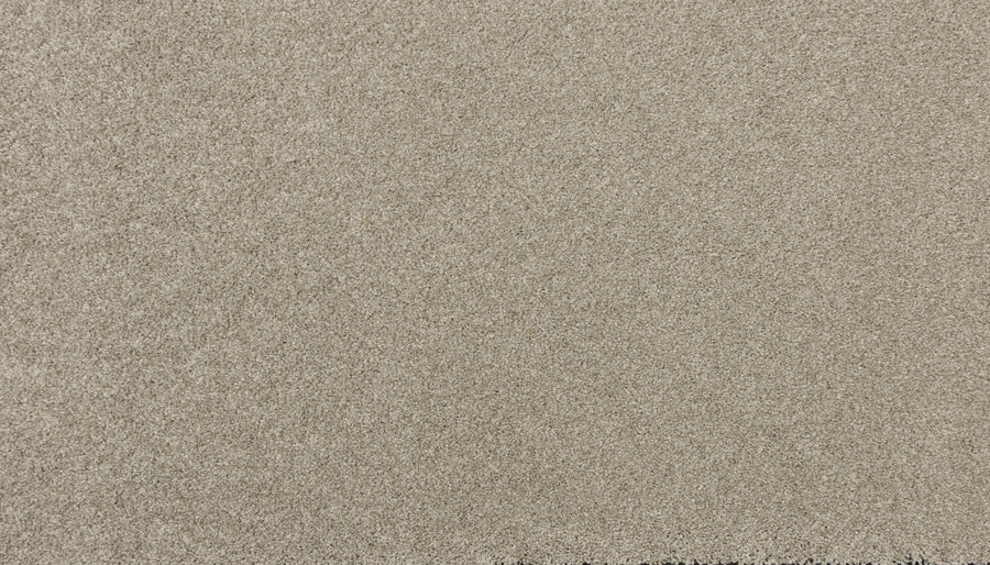 Close-up of the flat, even surface of Delicate Shades Pet Friendly Carpet in Zinnias, featuring fine grains and a uniform texture reminiscent of luxury sand.