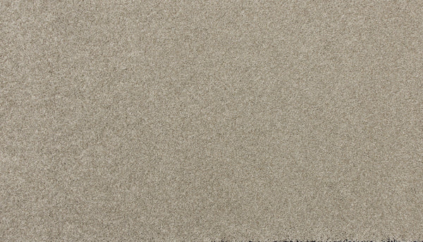 Close-up of the flat, even surface of Delicate Shades Pet Friendly Carpet in Zinnias, featuring fine grains and a uniform texture reminiscent of luxury sand.