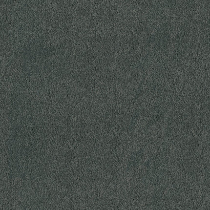 Close-up of Tribute Family Friendly Carpet in Delmar, featuring a textured dark gray surface that's soft, durable, and stain-resistant—ideal for busy family spaces.