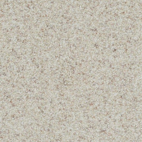 A close-up of the Boca Raton Family Friendly Carpet in 