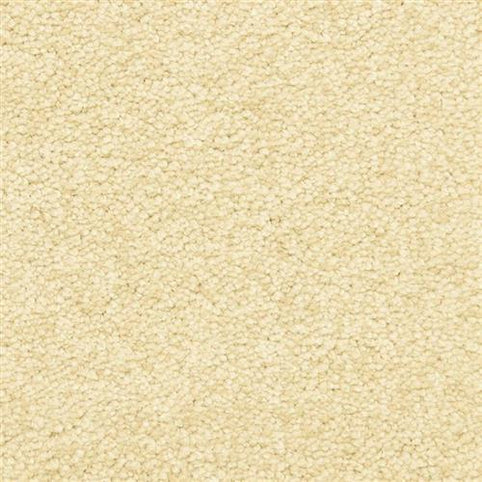 Close-up of Morgan Bay Family Friendly Carpet in Desert Valley, showcasing its textured, soft looped pile. This stain-resistant carpet is ideal for busy households; evenly lit and filling the entire frame.