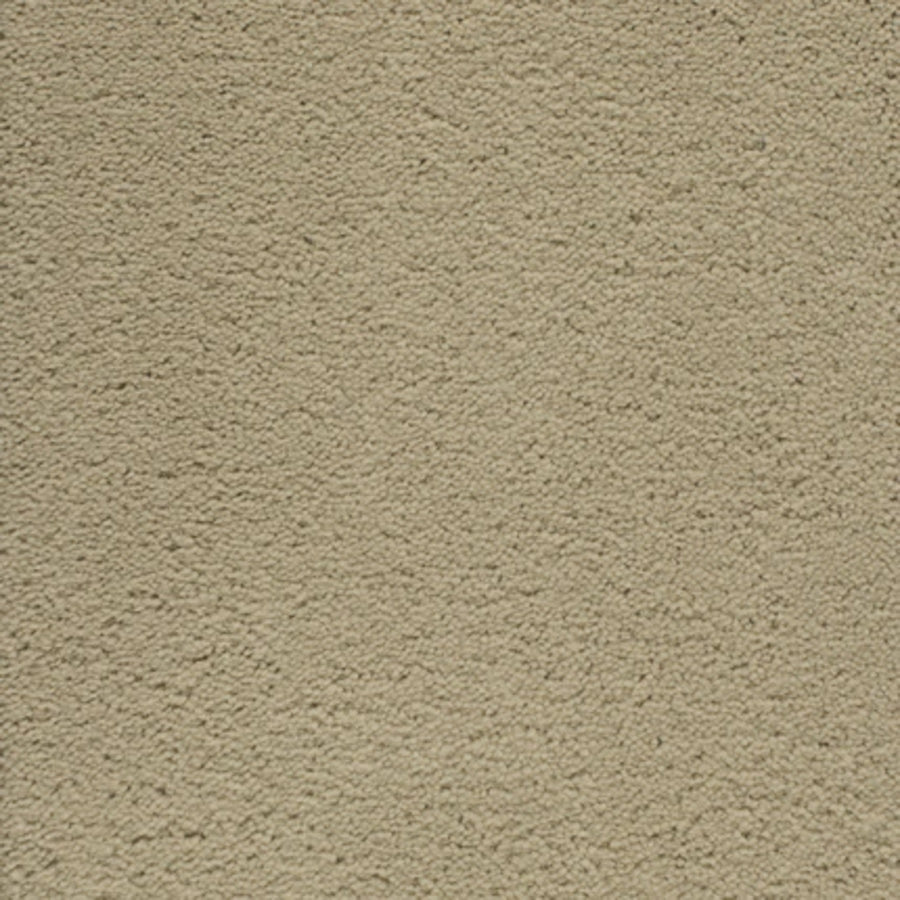 Close-up of Dolce Family Friendly Carpet in Desolate—a beige, luxury carpet with a soft, slightly textured surface. Its consistent color and plush fibers create a uniform look that's perfect for high-traffic areas.