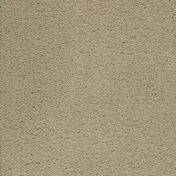 Close-up of Dolce Family Friendly Carpet in Desolate—a beige, luxury carpet with a soft, slightly textured surface. Its consistent color and plush fibers create a uniform look that's perfect for high-traffic areas.