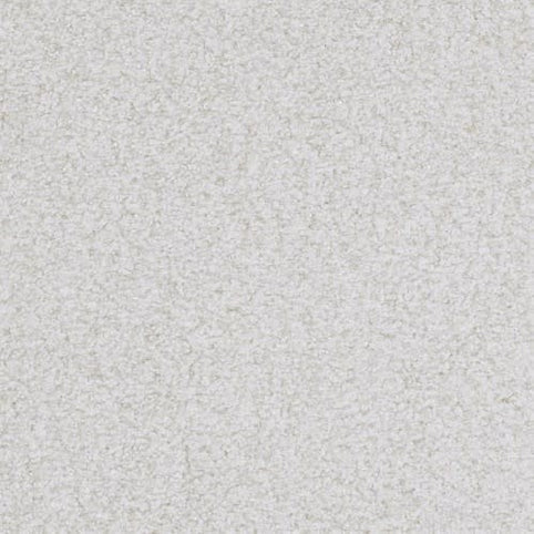 Close-up of the Boca Raton Family Friendly Carpet in Diligent color, featuring tightly packed, plush fibers for a cozy look. Crafted from premium materials, it offers lasting comfort and durable flooring for any room.