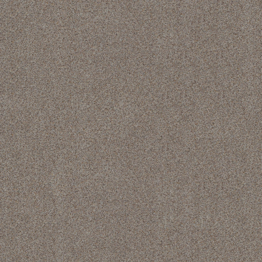 A close-up of Canyon Lake Family Friendly Carpet in Distant Star shows a textured surface with fine brown, beige, and gray granules—ideal inspiration for modern, durable flooring solutions.