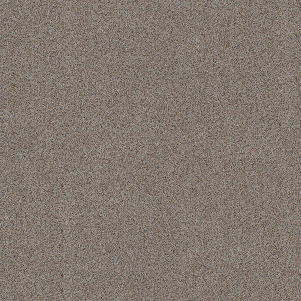 A close-up of Canyon Lake Family Friendly Carpet in Distant Star shows a textured surface with fine brown, beige, and gray granules—ideal inspiration for modern, durable flooring solutions.