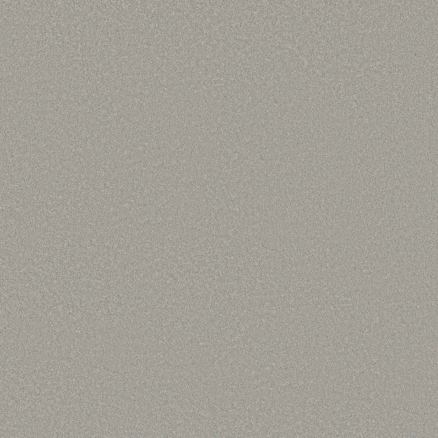 A close-up of Smooth Tone Blue Pet Friendly Carpet in Distant Star shows a light grey, fine-textured surface with a subtle blue tone, giving it a luxurious look—ideal for even, elegant flooring that's both pet-friendly and stylish.