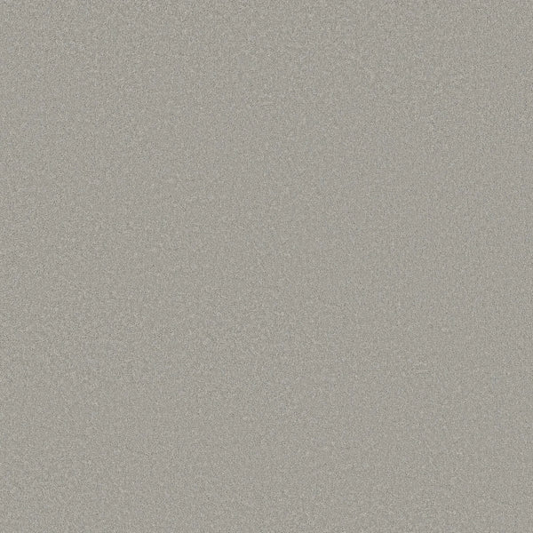 Smooth Tone Pet Friendly Carpet in Distant Star features a light gray, finely speckled texture with no distinct shapes, offering a modern, stain-resistant look ideal for homes with pets.