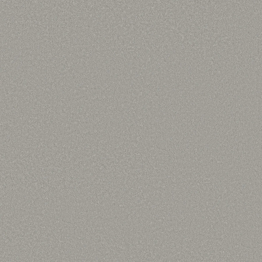 Featuring a smooth, silver-gray metallic look with subtle shimmer, Classic Tone Pet Friendly Carpet in Distant Star pairs perfectly with modern spaces, offering stain resistance and style inspired by brushed aluminum.