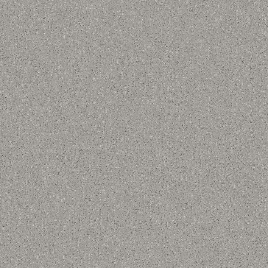 A close-up of Crafted Tone Pet Friendly Carpet in Distant Star shows a light gray, textured, and slightly rough surface, resembling the durable and stain-resistant carpeting ideal for homes with pets.
