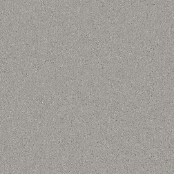 A close-up of Crafted Tone Pet Friendly Carpet in Distant Star shows a light gray, textured, and slightly rough surface, resembling the durable and stain-resistant carpeting ideal for homes with pets.