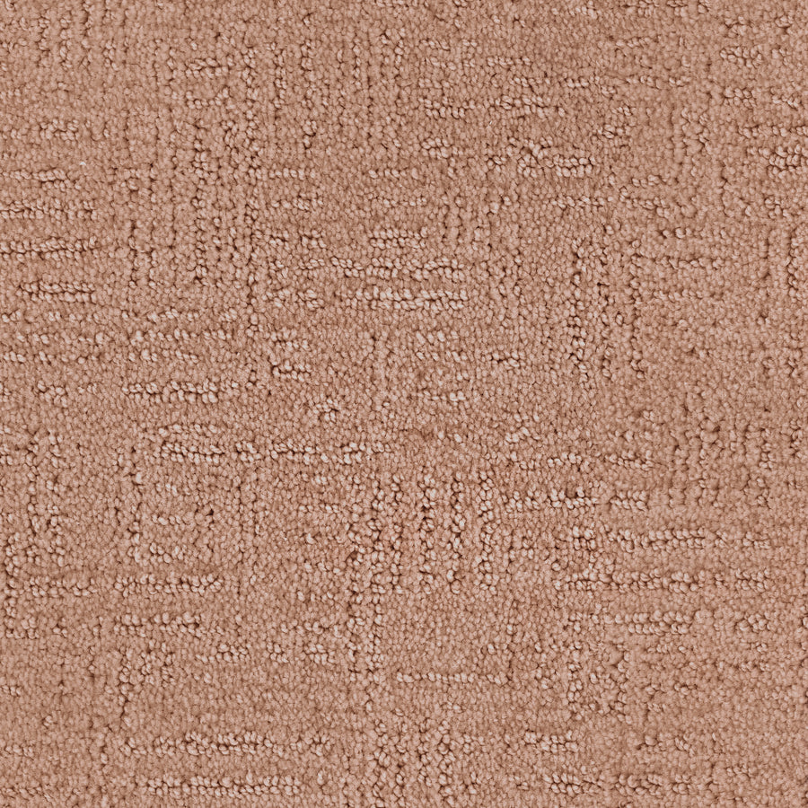 Distinctive Family Friendly Carpet