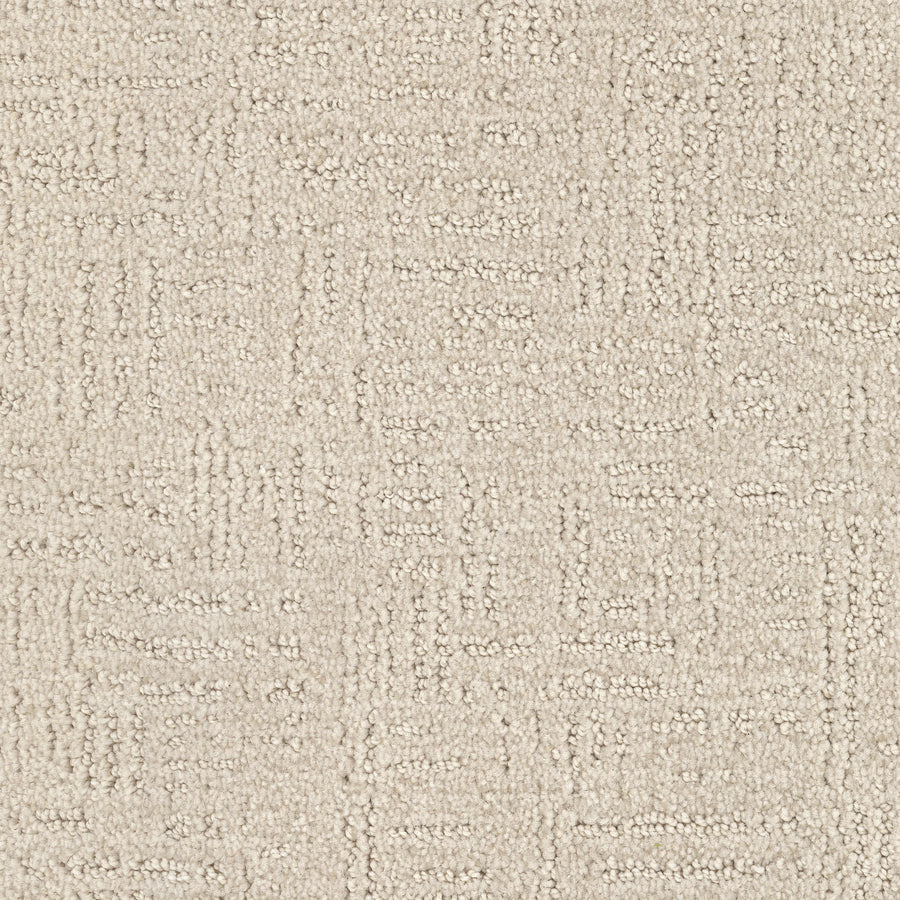 Distinctive Family Friendly Carpet