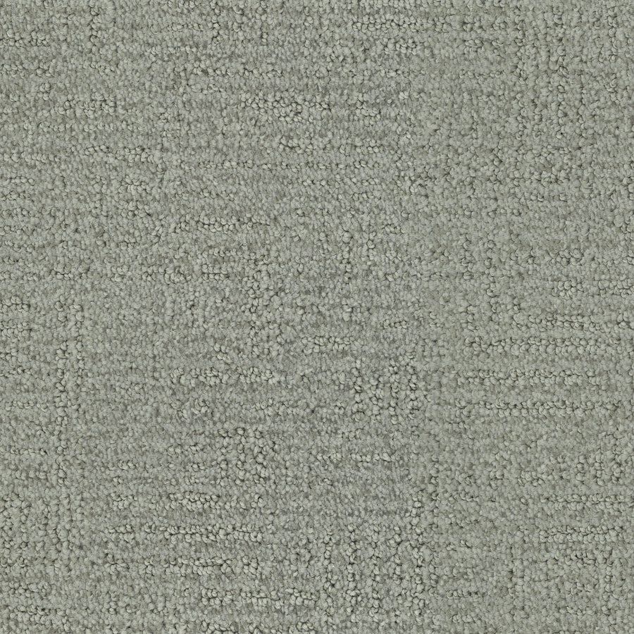 Close-up of Distinctive Family Friendly Carpet in light gray, featuring a textured nylon surface with a subtle looped pile. This uniform, soft flooring is ideal for residential or office home decor settings.