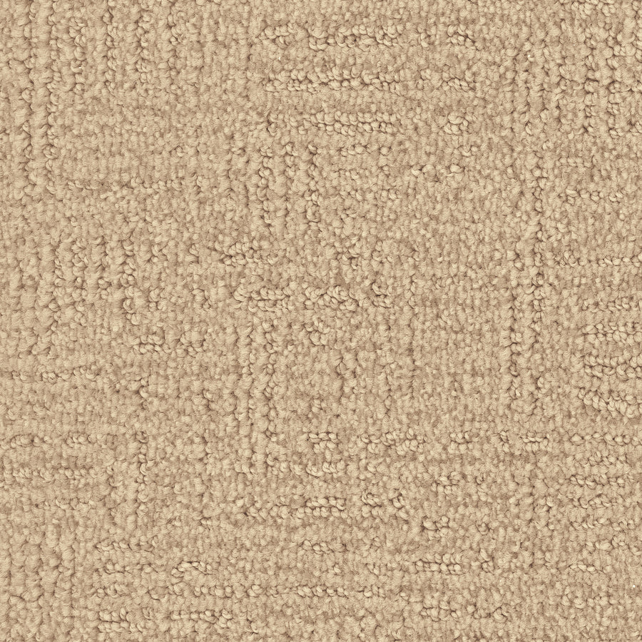 Distinctive Family Friendly Carpet