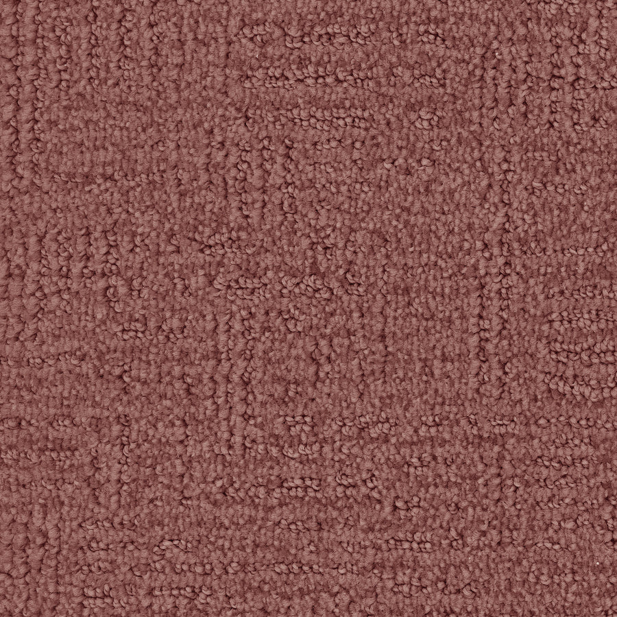 Distinctive Family Friendly Carpet