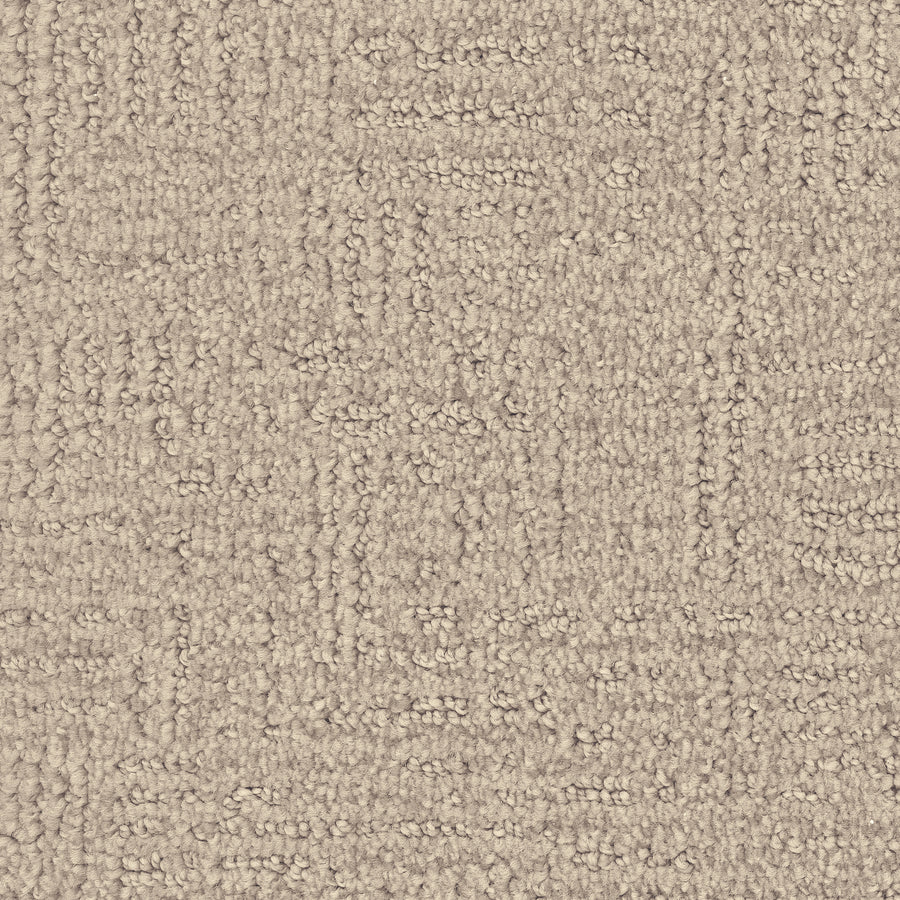 Distinctive Family Friendly Carpet