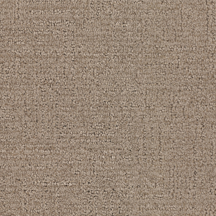 Distinctive Family Friendly Carpet
