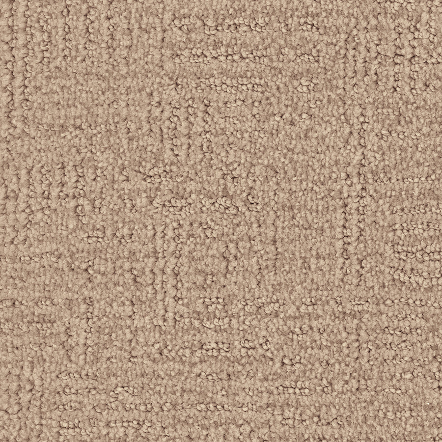 Distinctive Family Friendly Carpet