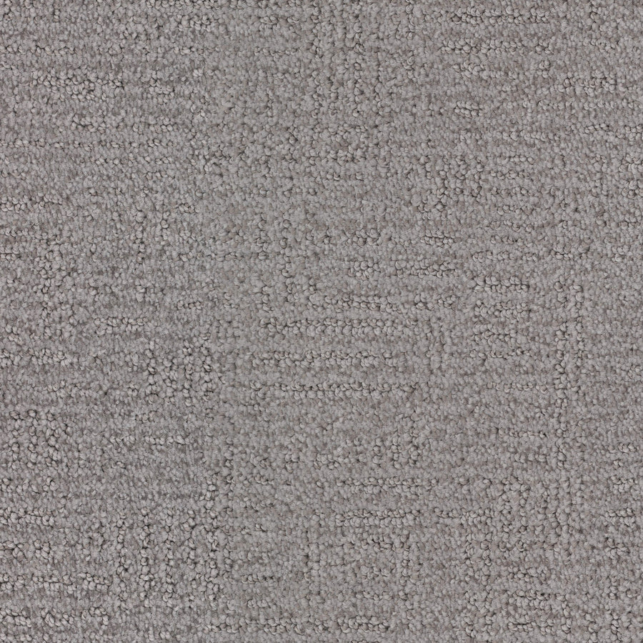 Distinctive Family Friendly Carpet