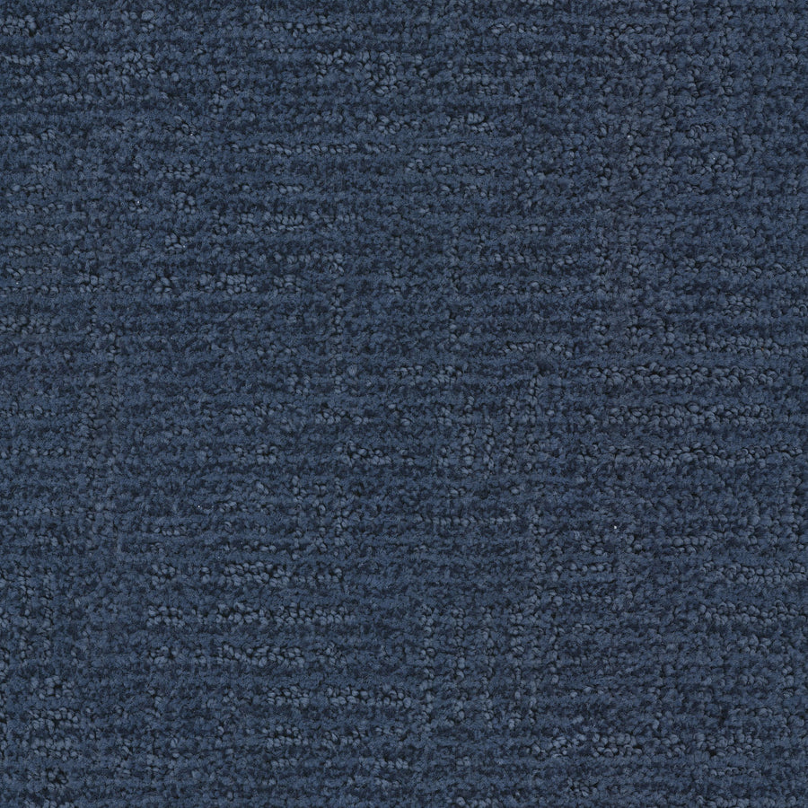 Close-up of Distinctive Family Friendly Carpet, featuring textured dark blue Envision nylon with a subtle, irregular pattern and slightly rough looped surface—ideal for stylish home décor.