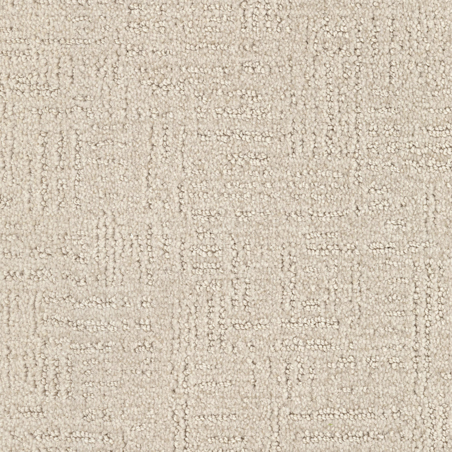 Distinctive Family Friendly Carpet