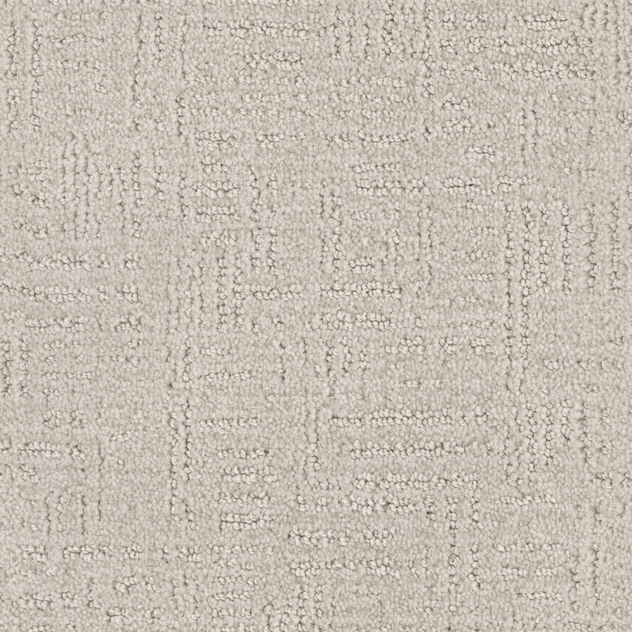 Distinctive Family Friendly Carpet