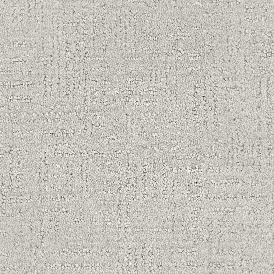 Distinctive Family Friendly Carpet