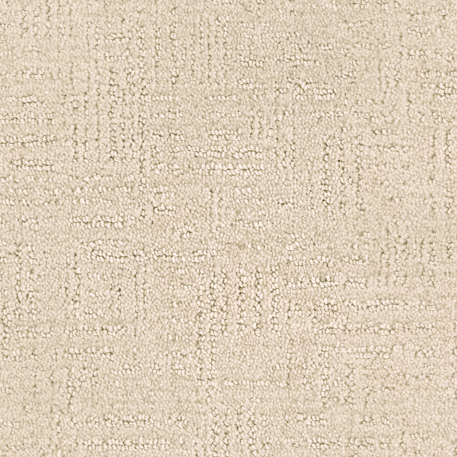 Distinctive Family Friendly Carpet