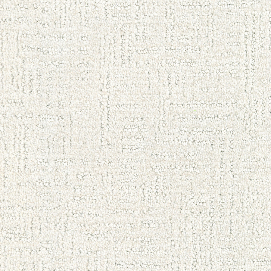 Distinctive Family Friendly Carpet