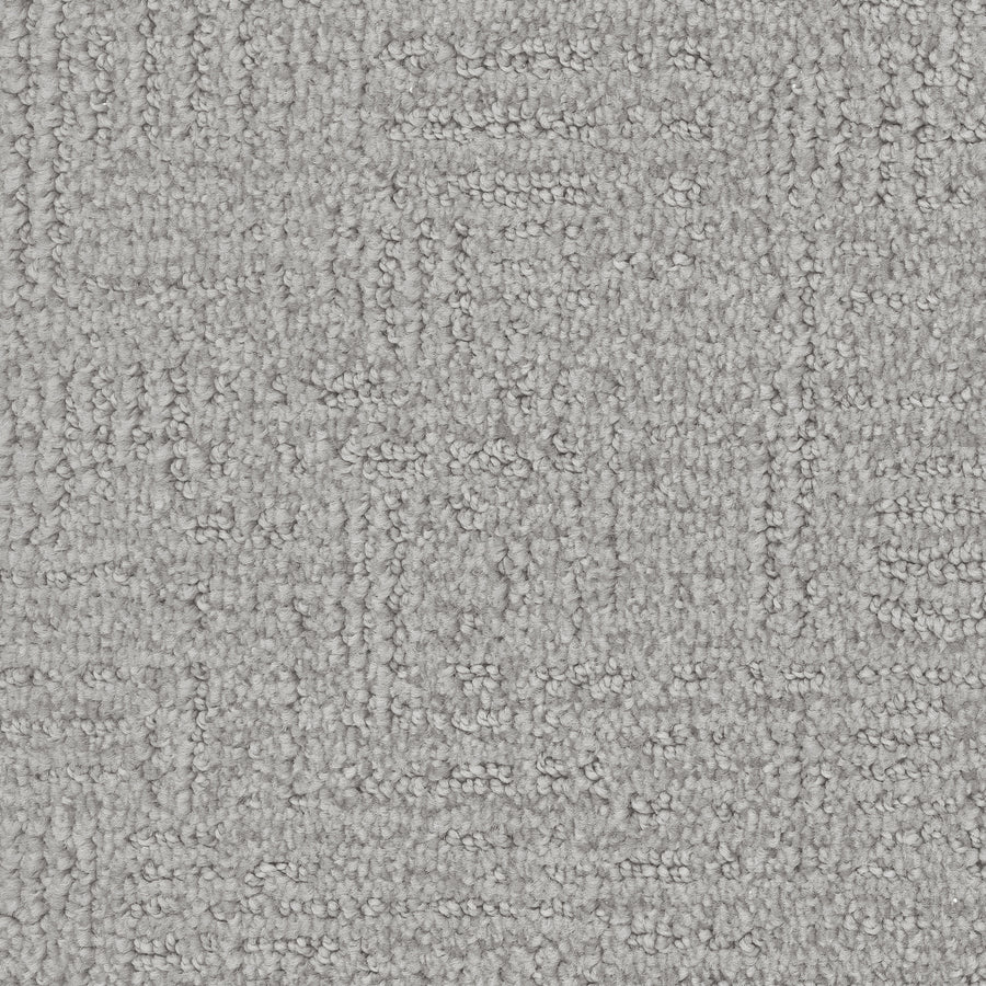 Distinctive Family Friendly Carpet