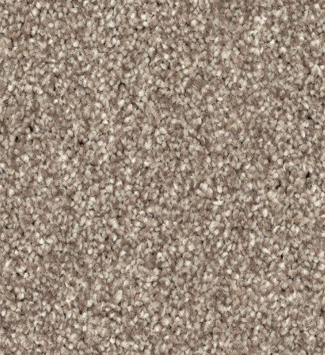Close-up view of Quality Living II Pet Friendly Carpet in Dock—a beige, textured, pet-friendly carpet with tightly woven fibers in light brown, tan, and cream tones. Soft, slightly speckled surface ideal for pet owners.