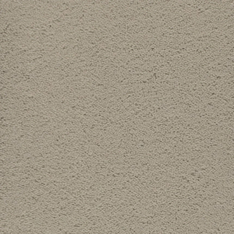 Close-up of the Dolce Family Friendly Carpet in Doe color, featuring a soft, dense pile and uniform texture. Its tightly packed fibers offer durability and even coloring, making it ideal for high-traffic, family spaces.